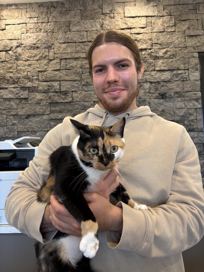 Southern Trails Vet Image