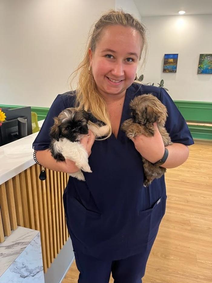 Southern Trails Vet Image