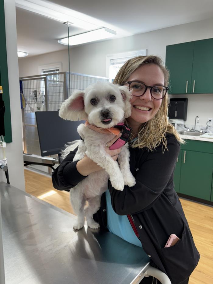 Southern Trails Vet Image