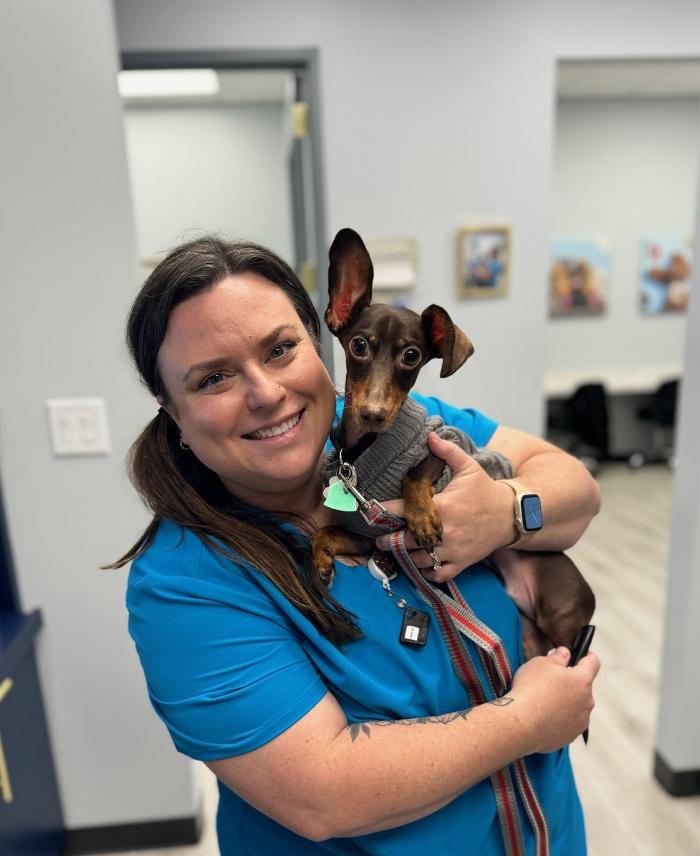 Riverside Vet - Greer, SC