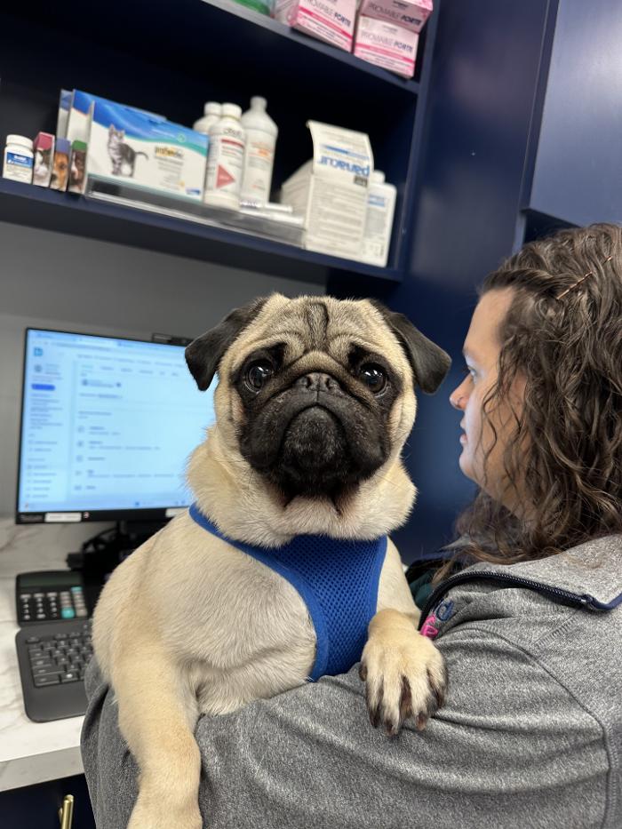 Riverside Vet - Greer, SC