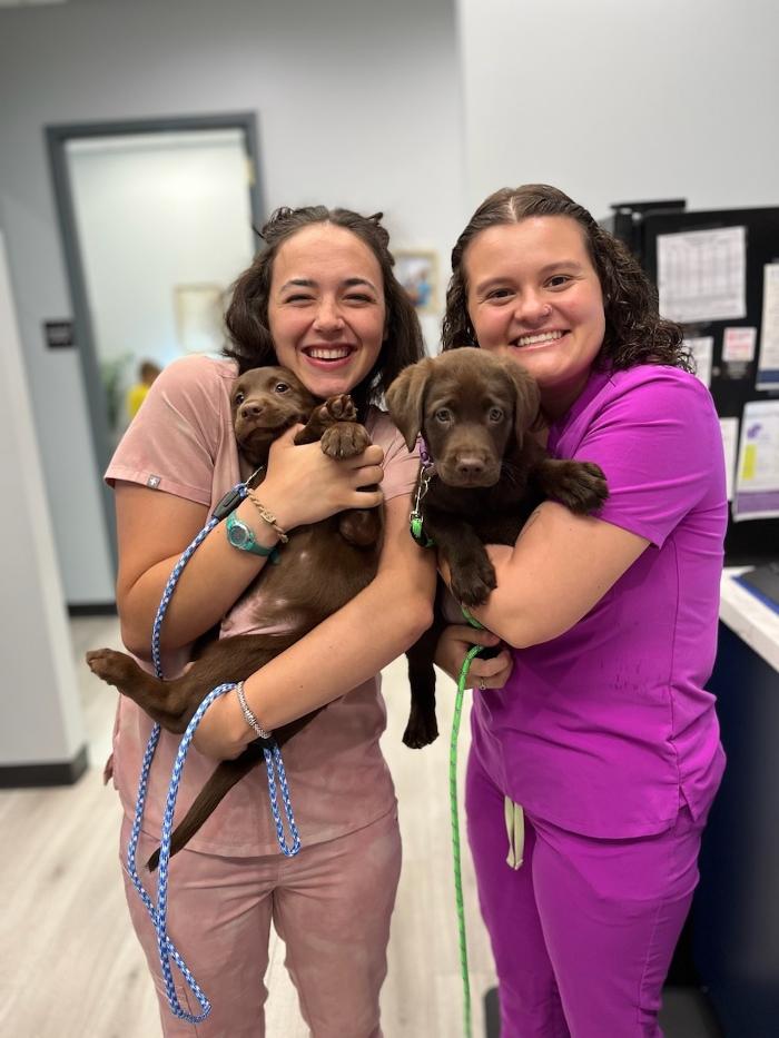 Riverside Vet - Greer, SC