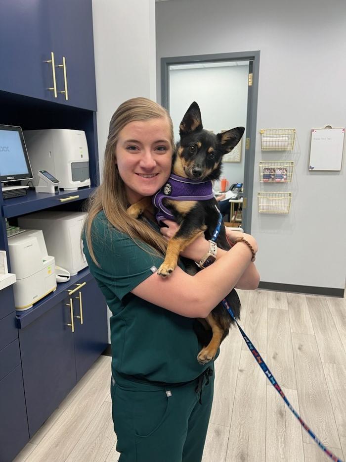 Riverside Vet - Greer, SC