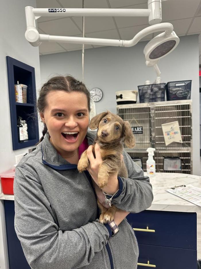 Riverside Vet - Greer, SC