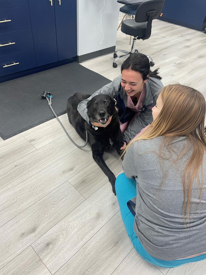 Riverside Vet - Greer, SC