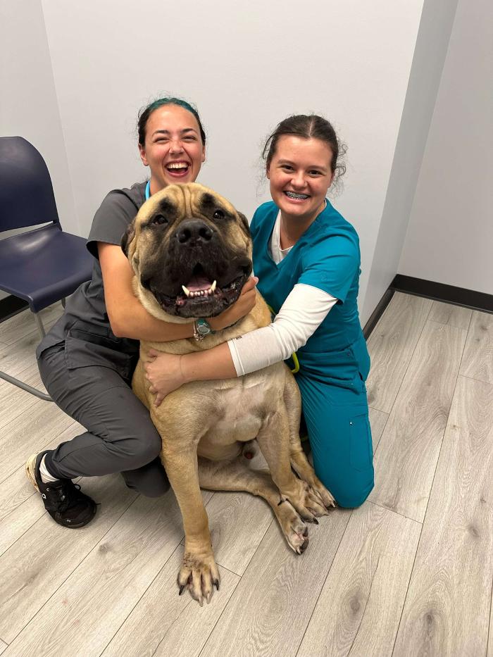 Riverside Vet - Greer, SC