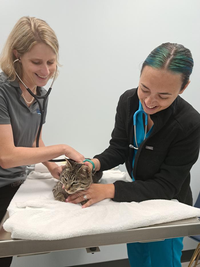 Riverside Vet - Greer, SC