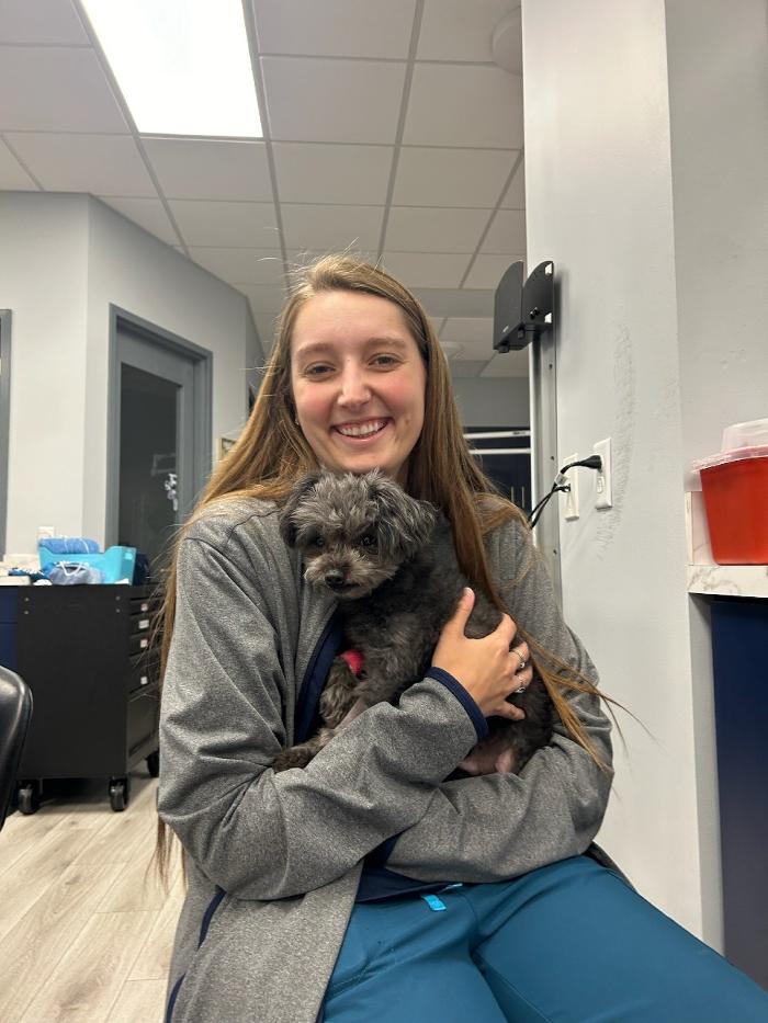 Riverside Vet - Greer, SC