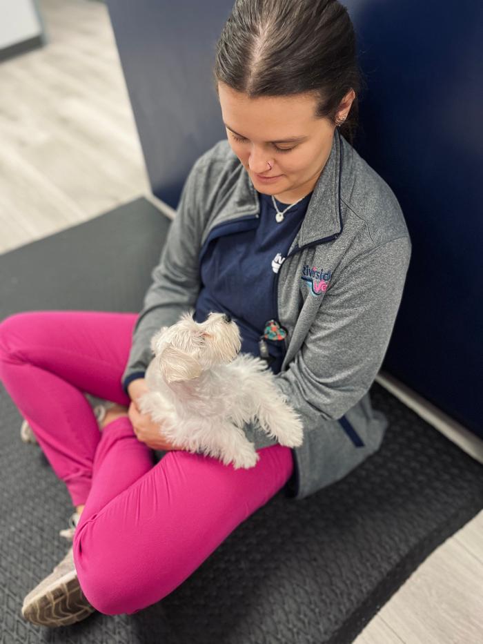 Riverside Vet - Greer, SC