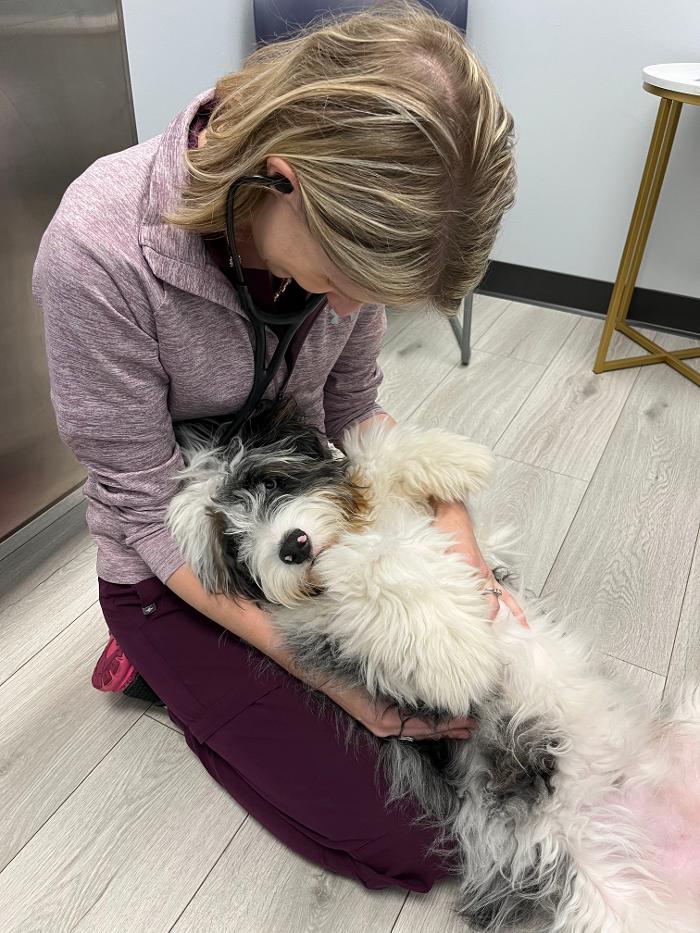 Riverside Vet - Greer, SC