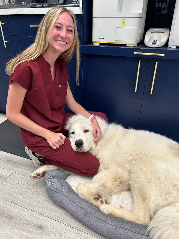 Riverside Vet - Greer, SC