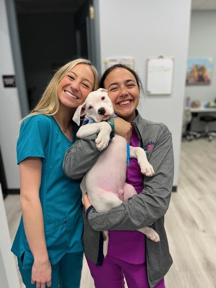 Riverside Vet - Greer, SC