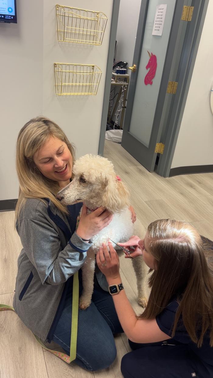 Riverside Vet - Greer, SC