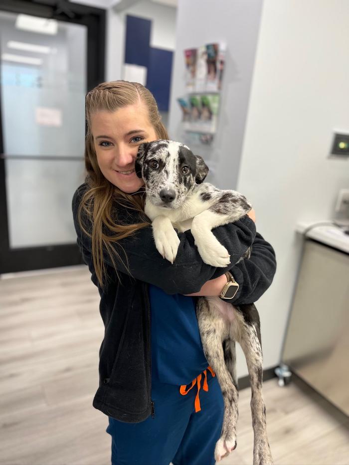 Riverside Vet - Greer, SC