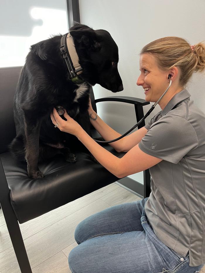 Riverside Vet - Greer, SC