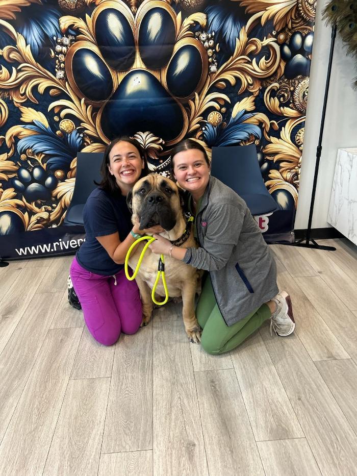 Riverside Vet - Greer, SC