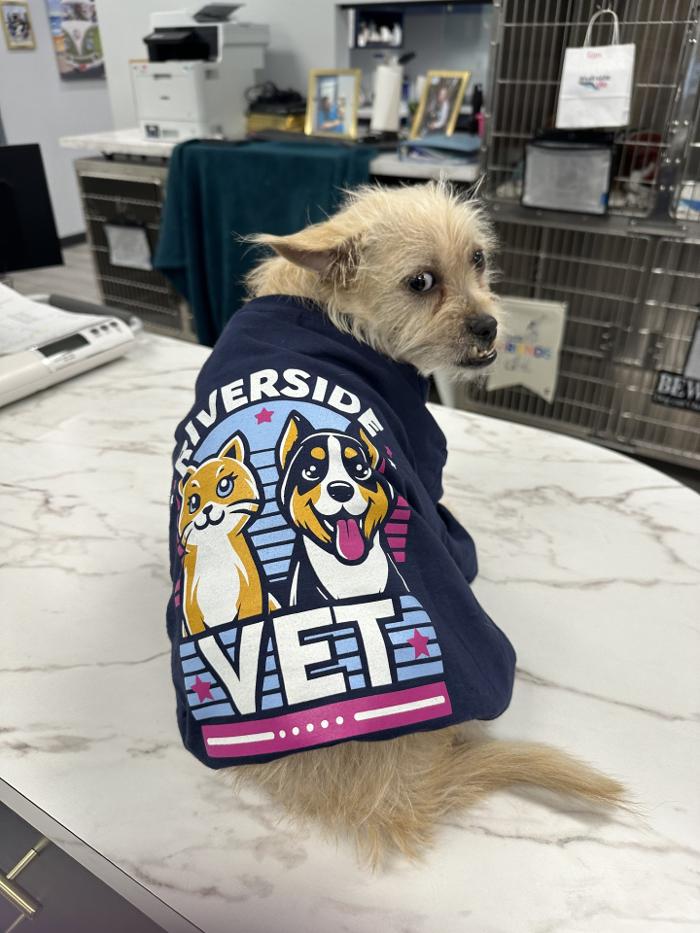 Riverside Vet - Greer, SC