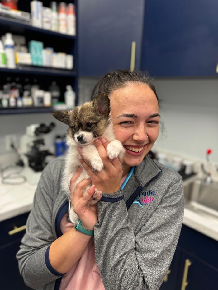 Riverside Vet - Greer, SC