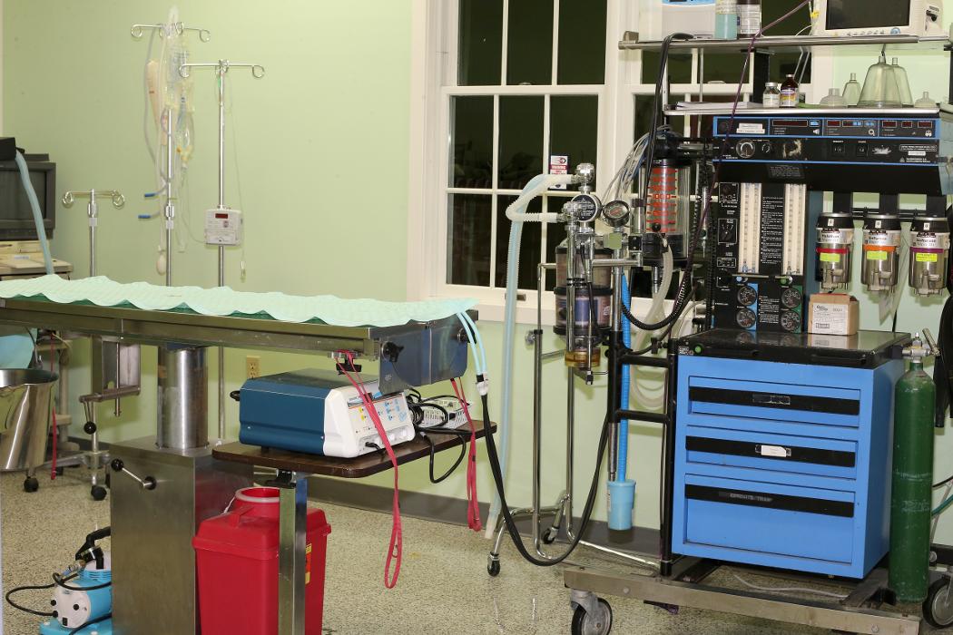 Skippack Animal Hospital - Skippack, PA