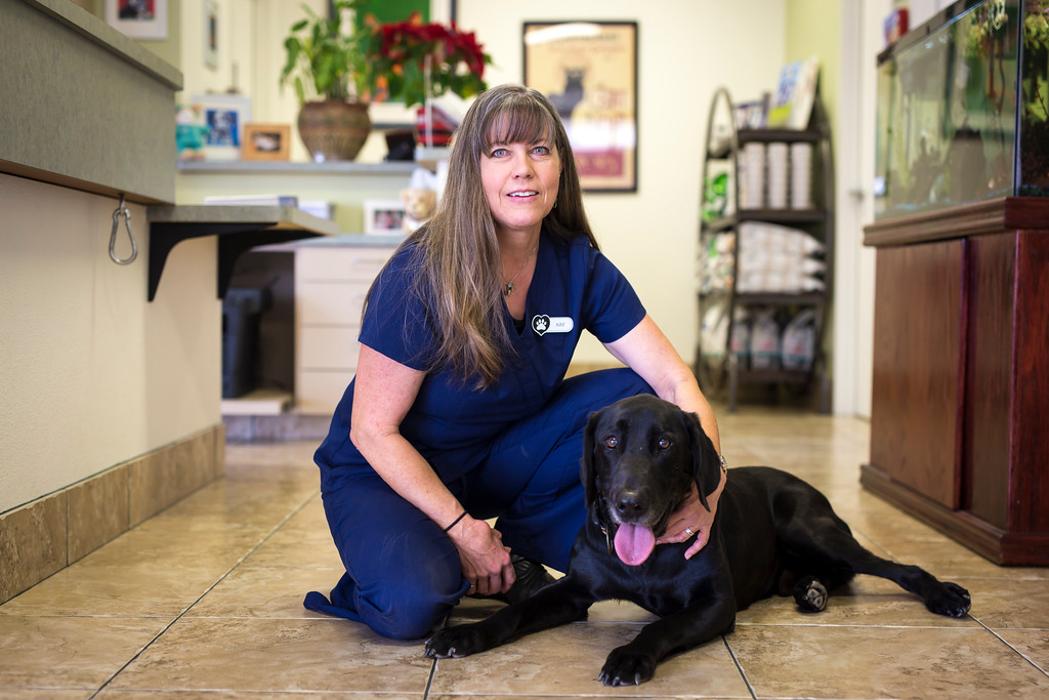 Topaz Veterinary Clinic - Tempe, AZ