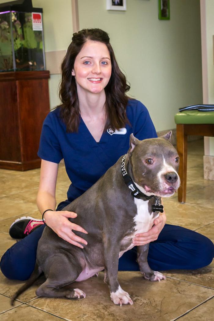Topaz Veterinary Clinic - Tempe, AZ