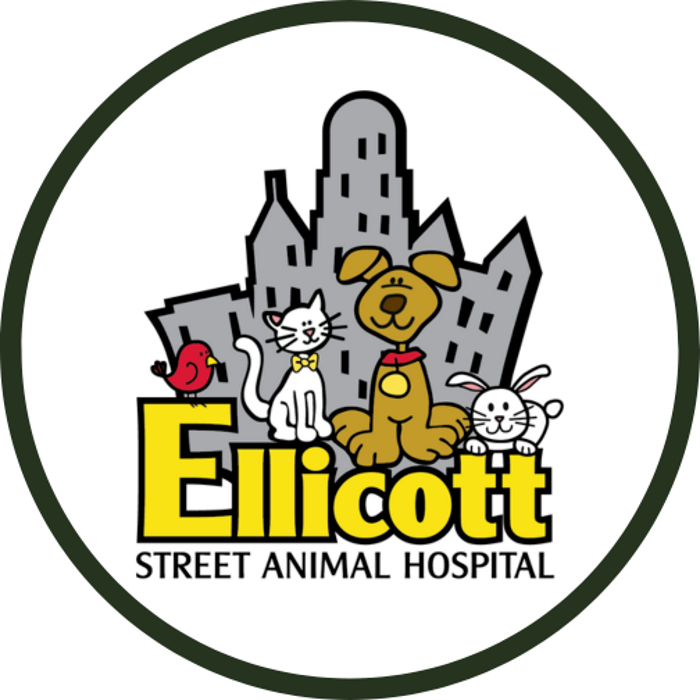 Ellicott Street Animal Hospital - Buffalo, NY