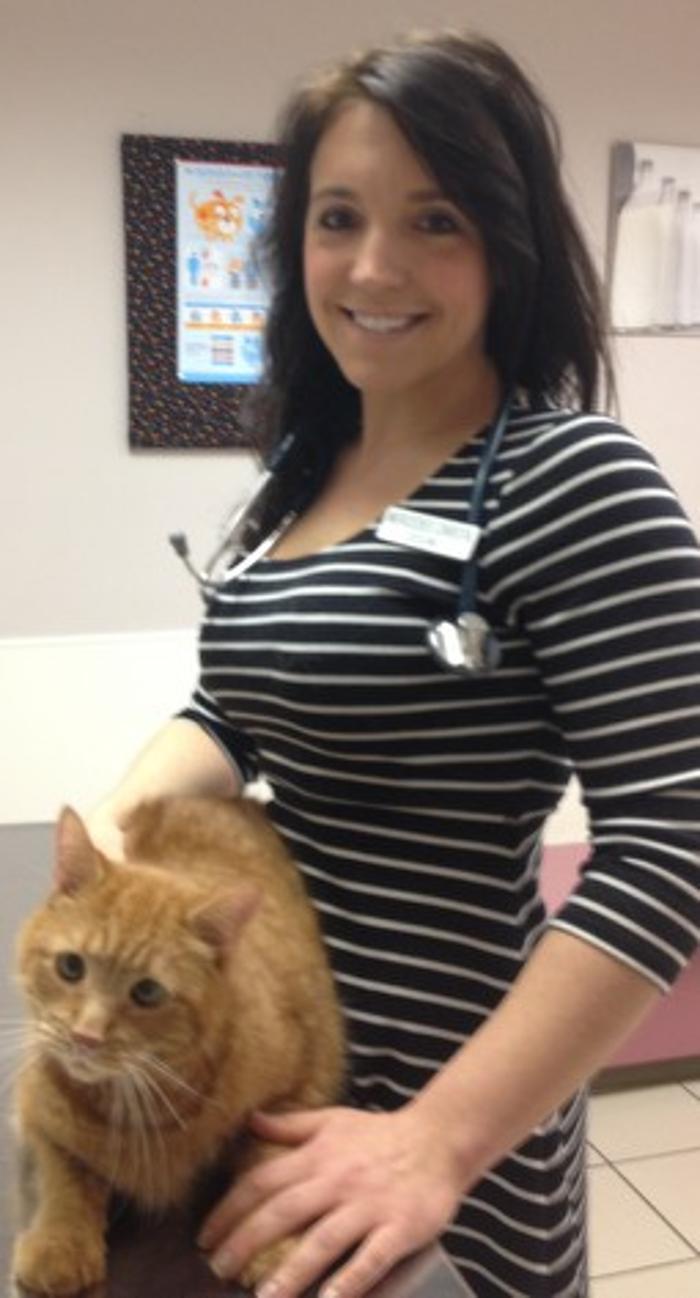 Ellicott Street Animal Hospital - Buffalo, NY