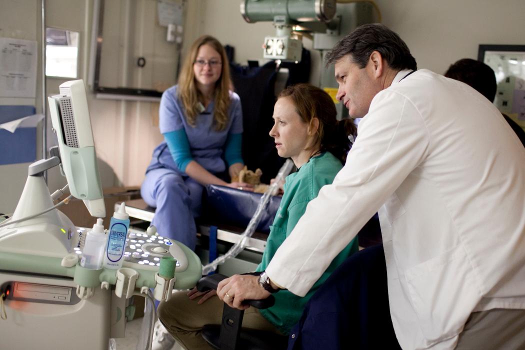 Ellicott Street Animal Hospital - Buffalo, NY