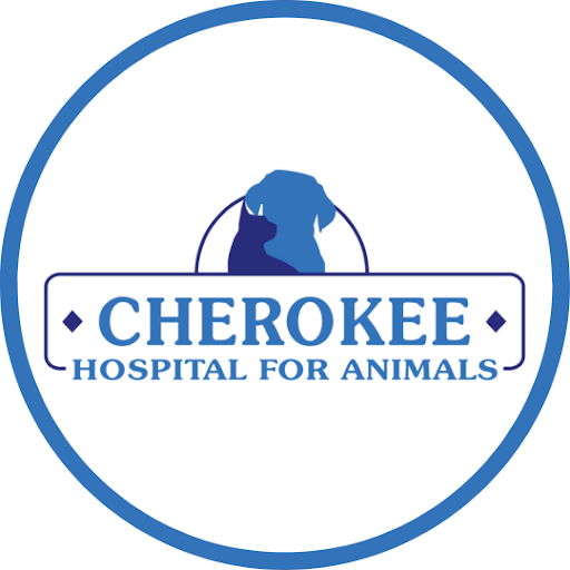 Circular Image