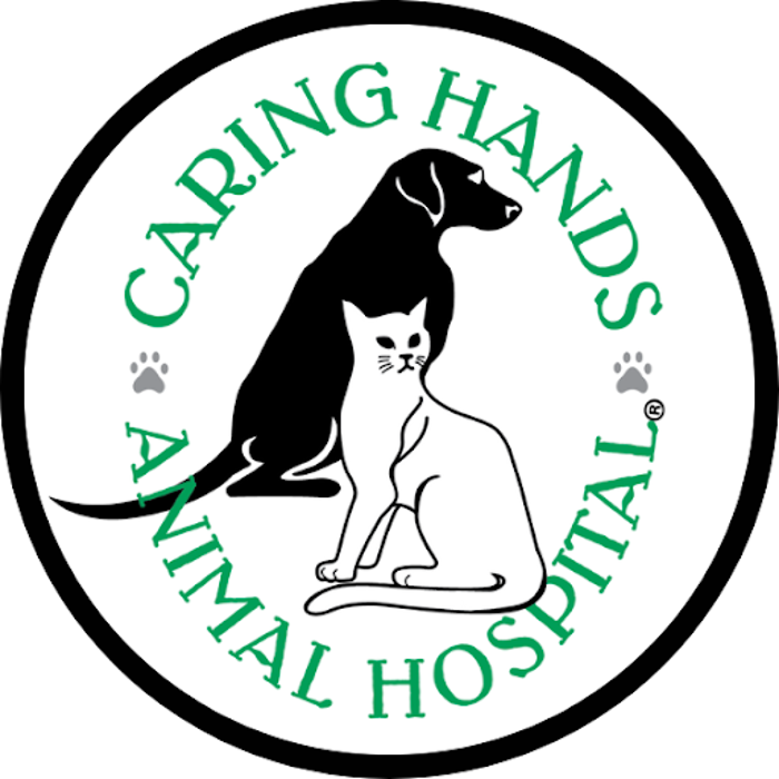 Caring Hands Animal Hospital - Bristow - Bristow, VA