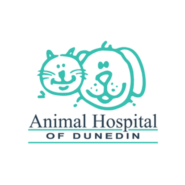 Animal Hospital of Dunedin - Dunedin, FL
