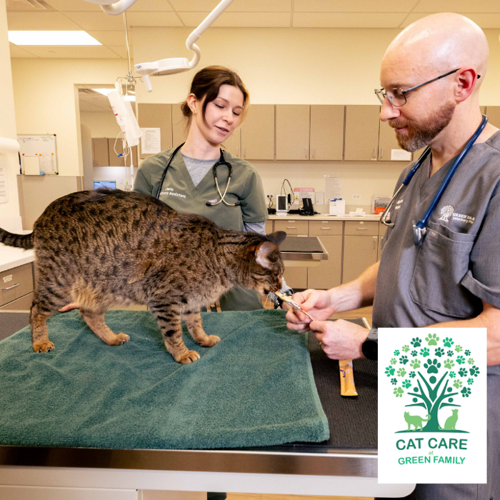 Green Family Veterinary Practice