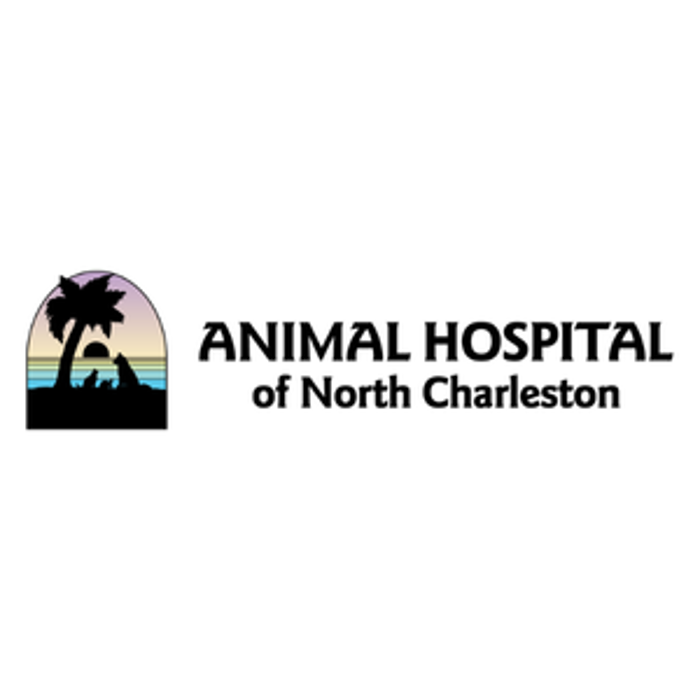 The Animal Hospital of North Charleston - N. Charleston, SC