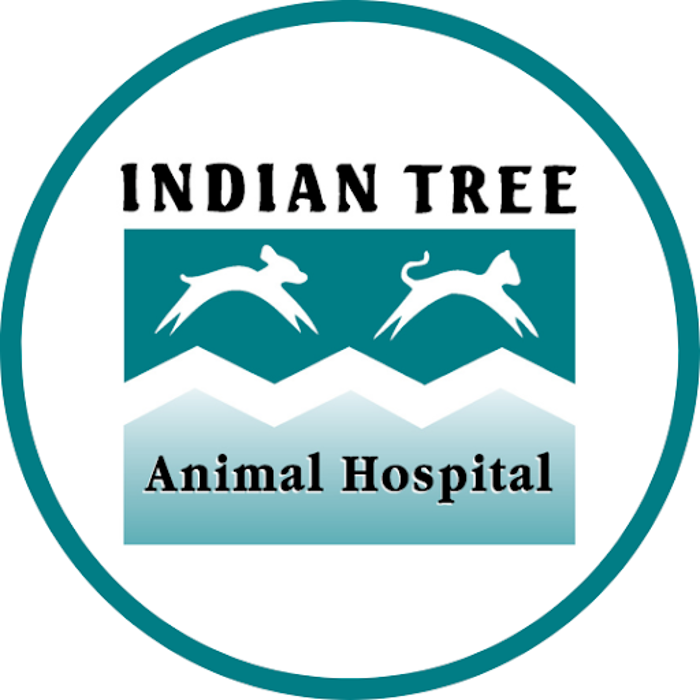 Indian Tree Animal Hospital - Arvada, CO