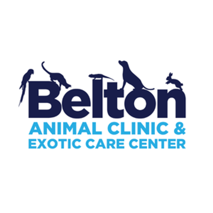 Belton Animal Clinic & Exotic Care Center - Belton, MO