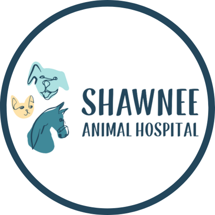Shawnee Animal Hospital - Shawnee, OK