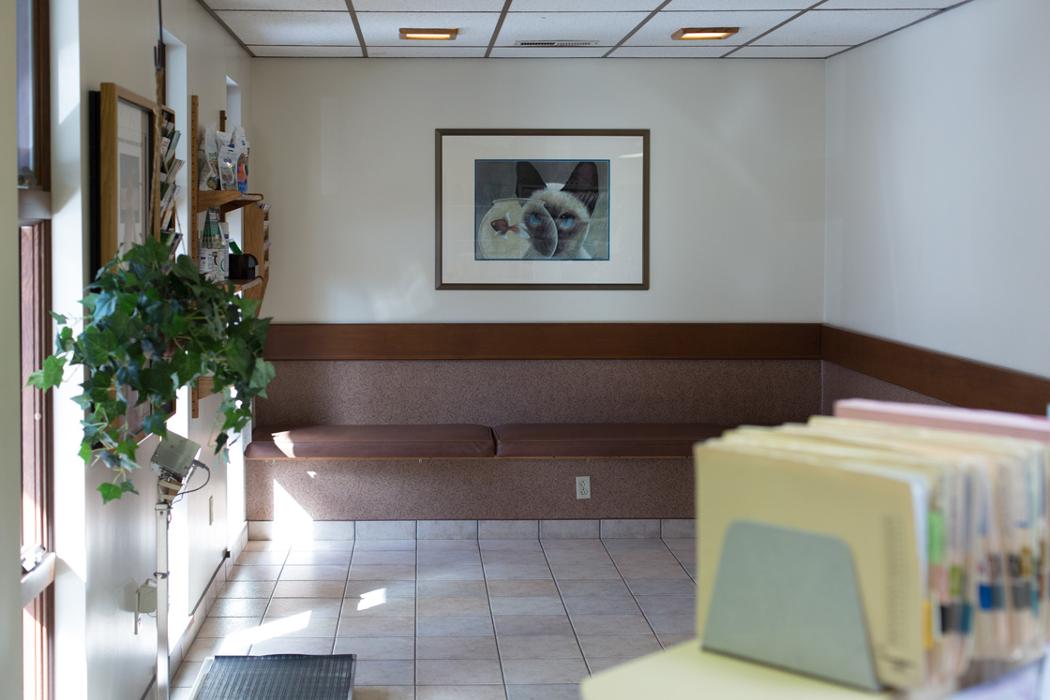 White Oak Veterinary Clinic - McKeesport, PA