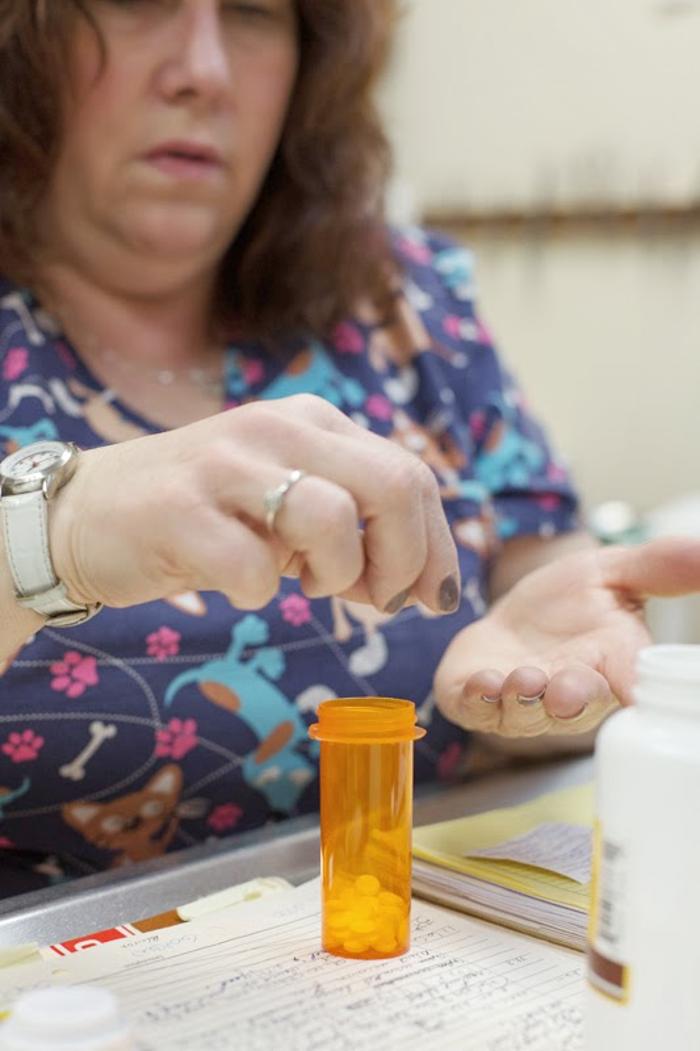 White Oak Veterinary Clinic - McKeesport, PA