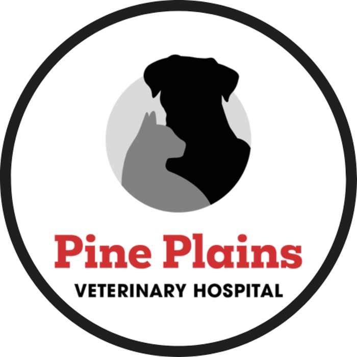 Pine Plains Veterinary Hospital - Pine Plains, NY