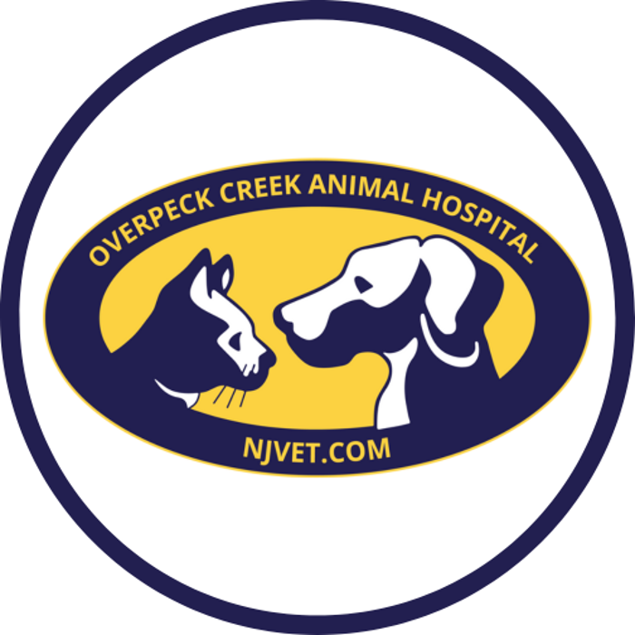 Overpeck Creek Animal Hospital - Bogota, NJ