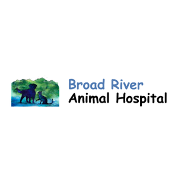 Broad River Animal Hospital