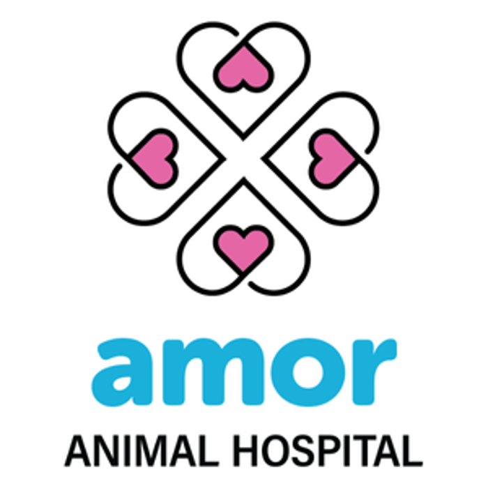 Amor Animal Hospital - Aventura, FL