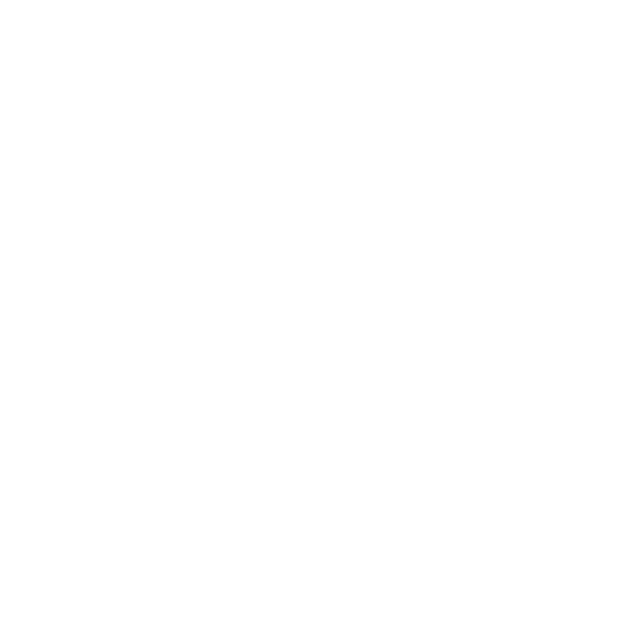 Charter Homes &amp; Neighborhoods Logo