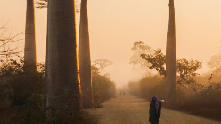 Tana AG | Gynäkologie | Geburtshilfe | Komplementärmedizin, Dammweg in Lenzburg
