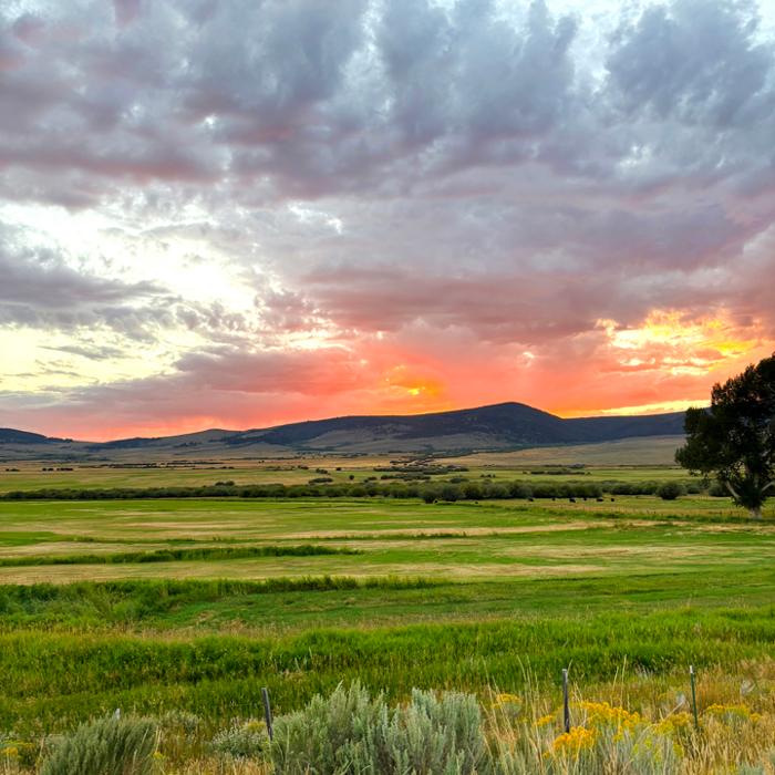 Dyle Stoddard Realtor - Dillon, MT