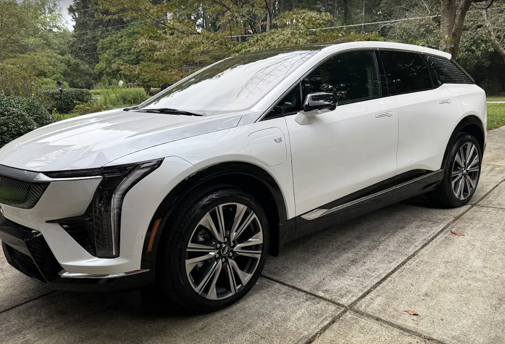 Wren's Collision of Kennesaw Image