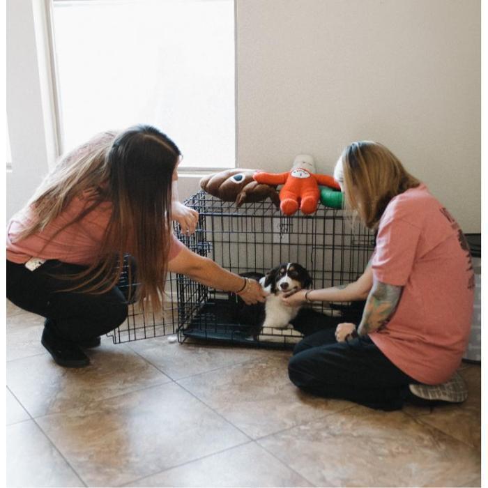 VeterClean - Chandler, AZ