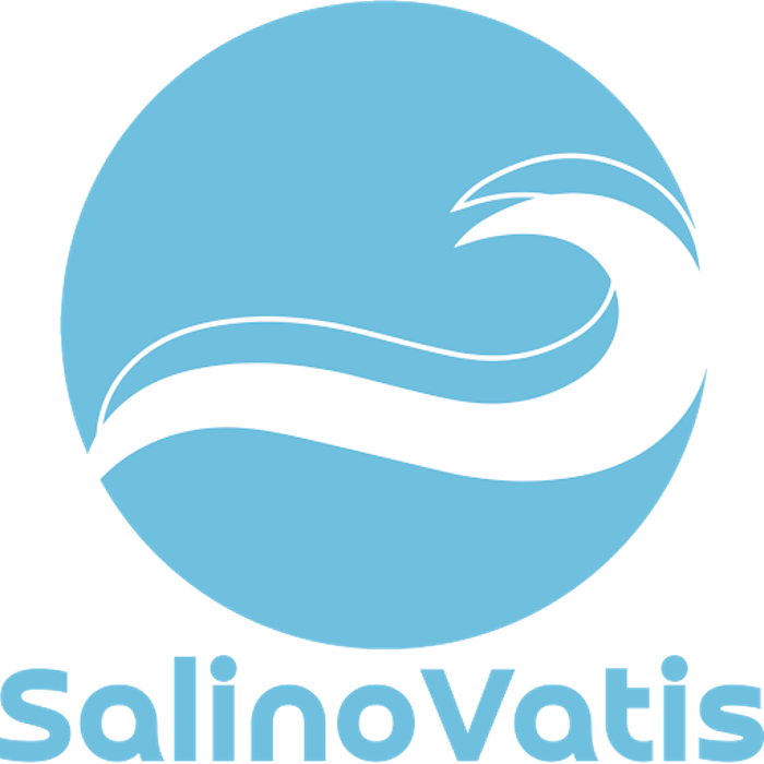 Logo Salino GmbH
