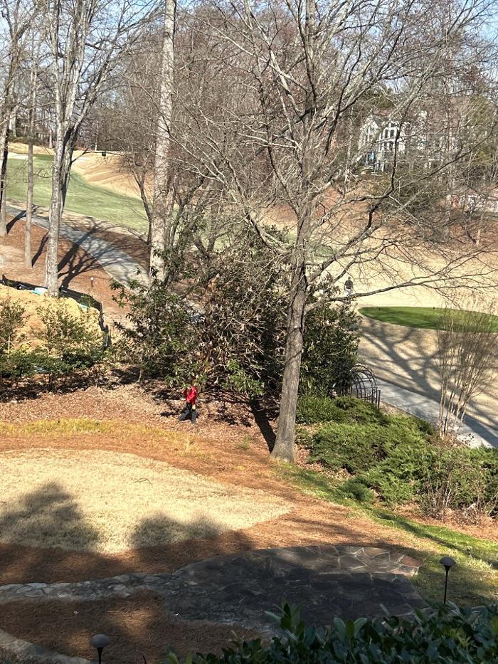 Southeast Tree - Marietta, GA