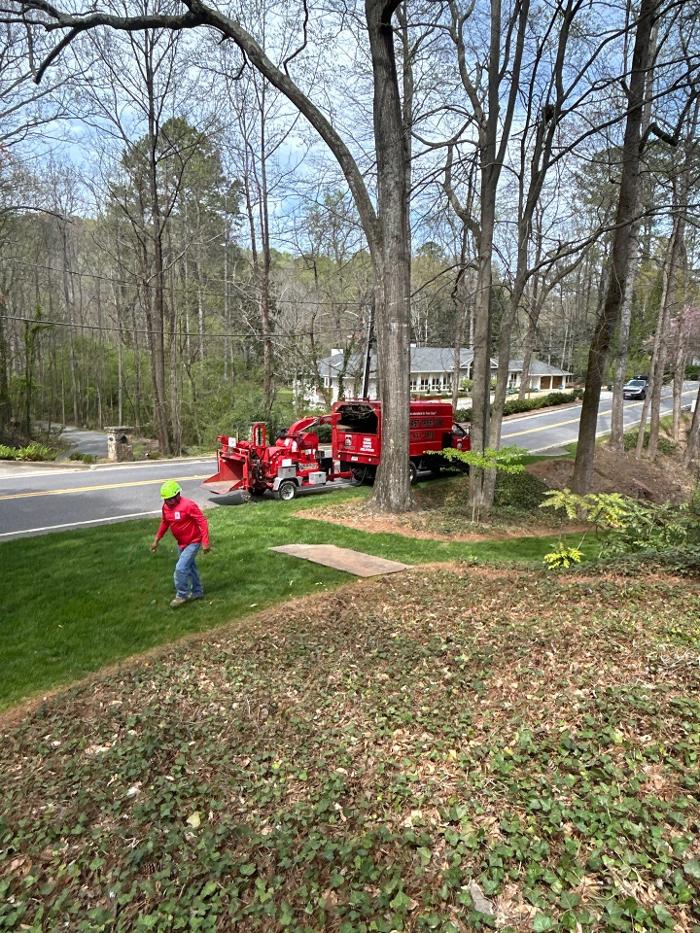 Southeast Tree - Marietta, GA